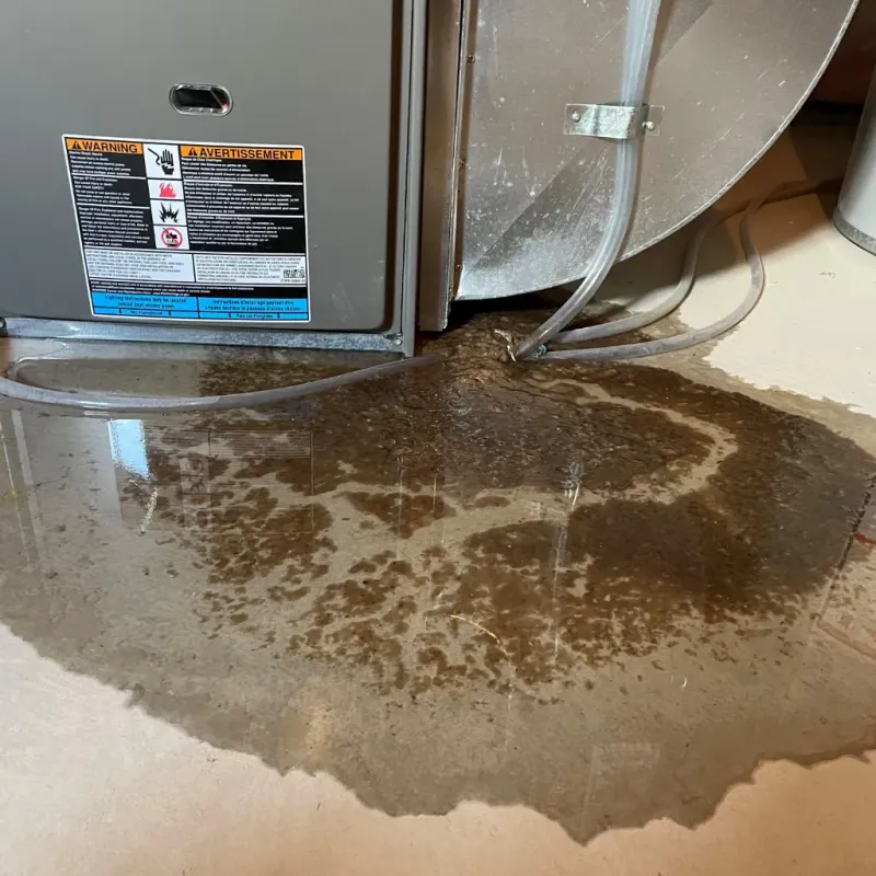 Appliance Leak Cleanup in Hauula, HI