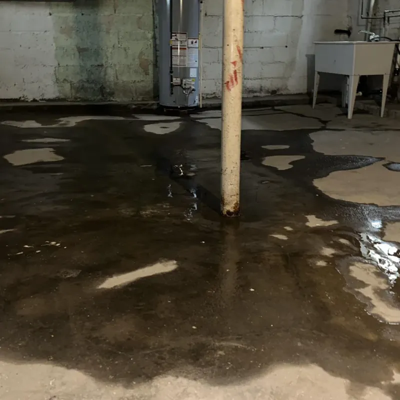 Emergency Water Extraction And Removal in Hauula, HI